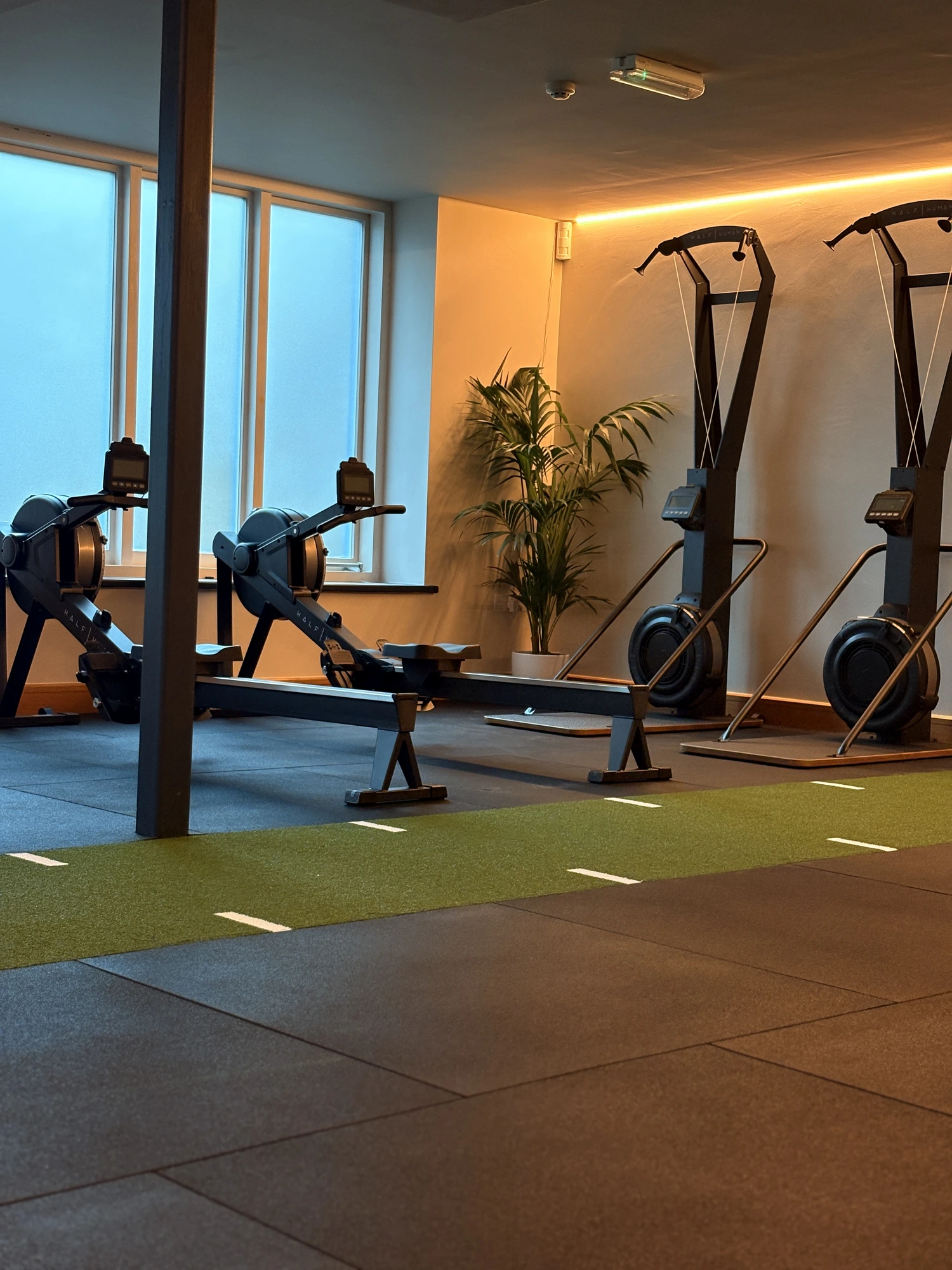 Concept 2 rowers and ski ergs at Kore